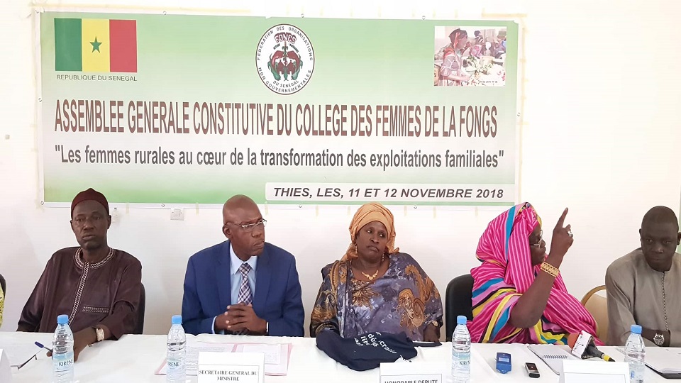 Vidéo/ Installation du collège des femmes de la Fédération des Organisations Non Gouvernementales du Sénégal (FONGS)
