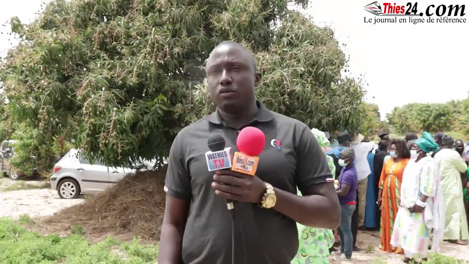 Vidéo/ Aly Ndiaye Président filière oignon: « Les commerçants sont prêts à acheter toute la production horticole »
