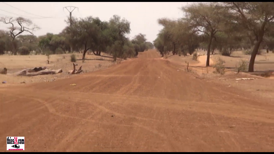 Vidéo/ Piste cahoteuse reliant Bambey à Diogo, en passant par Baba Garage et Mékhé et datant de 1939, le Cayor des profondeurs laisse éclater sa colère