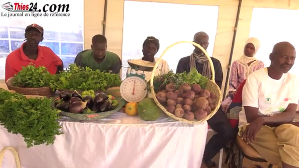 Vidéo/ Foire des produits agricoles certifiés avec la Fédération Nationale pour l’Agriculture Biologique (FENAB)