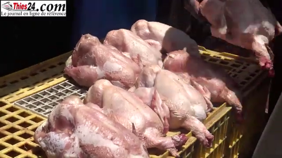 Vidéo/ Korité d&rsquo;enfer à Thiès, le poulet vendu entre 3.500 et 5.000 Fcfa