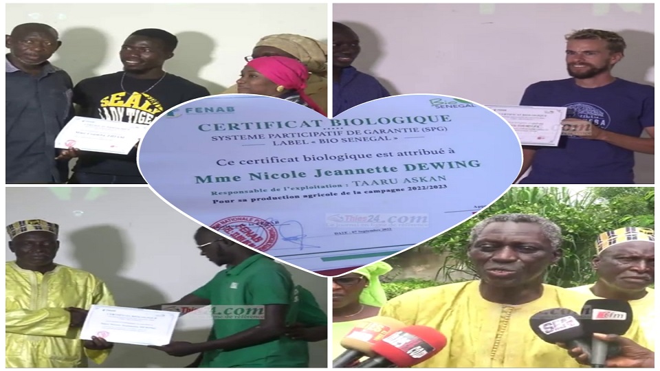 Vidéo/ Remise de certifications à des producteurs agro-écologiques par la FENAB