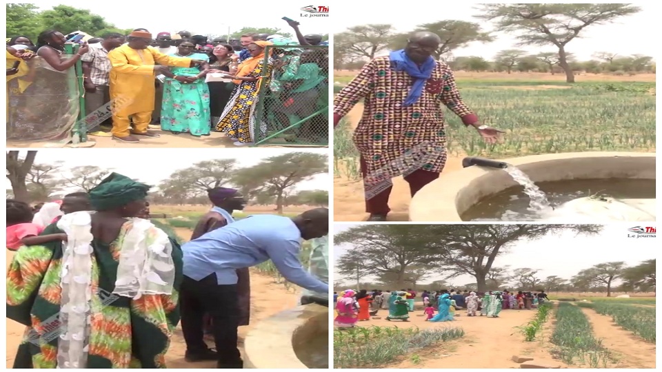 Vidéo/ Mérina Dakhar lance l’offensive pour l’autosuffisance en produits horticoles dans le Cayor des profondeurs, avec 33 périmètres maraîchers