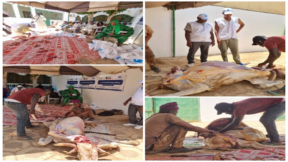 Vidéo/ Appui Tabaski, l’ONG Al ATAA au service des familles démunies de Thiès