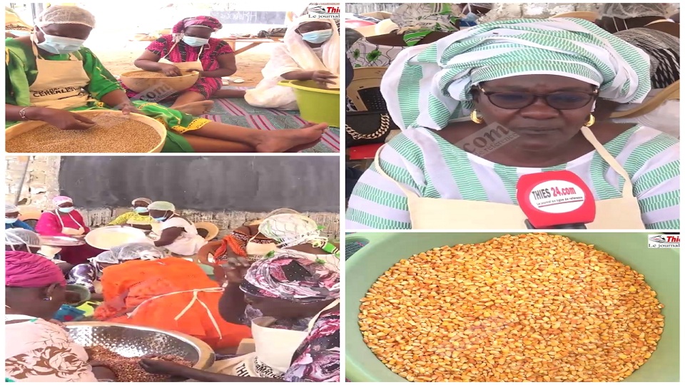 Vidéo/25 femmes de l’Association pour le Développement de Keuri Kao (ADK), à l’école de la transformation fruits-légumes