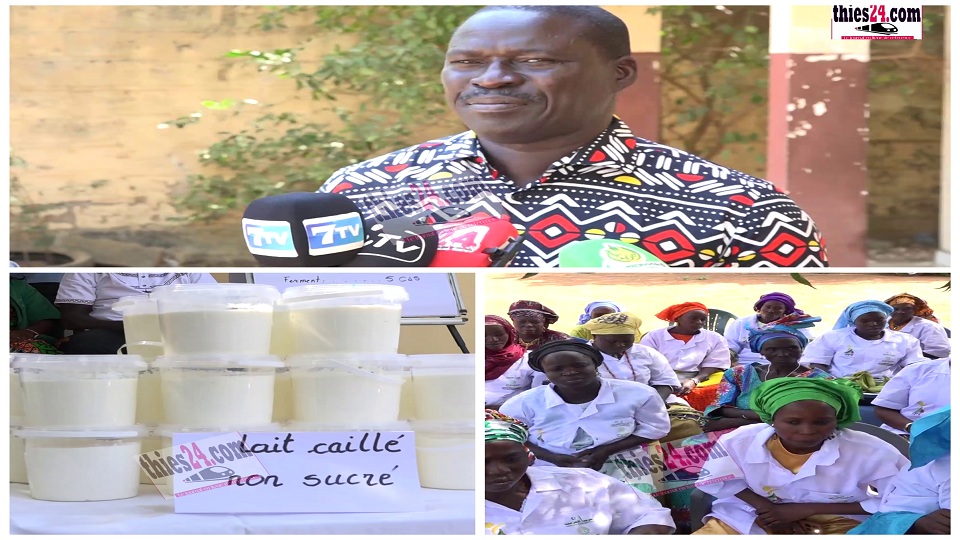 Vidéo/Formation des femmes de Pambal, en transformation des produits laitiers