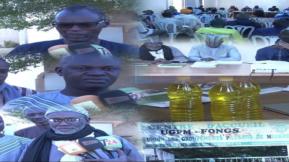 Vidéo/ Utilisation des bouillons, des pesticides, les alternatives développées à Mékhé