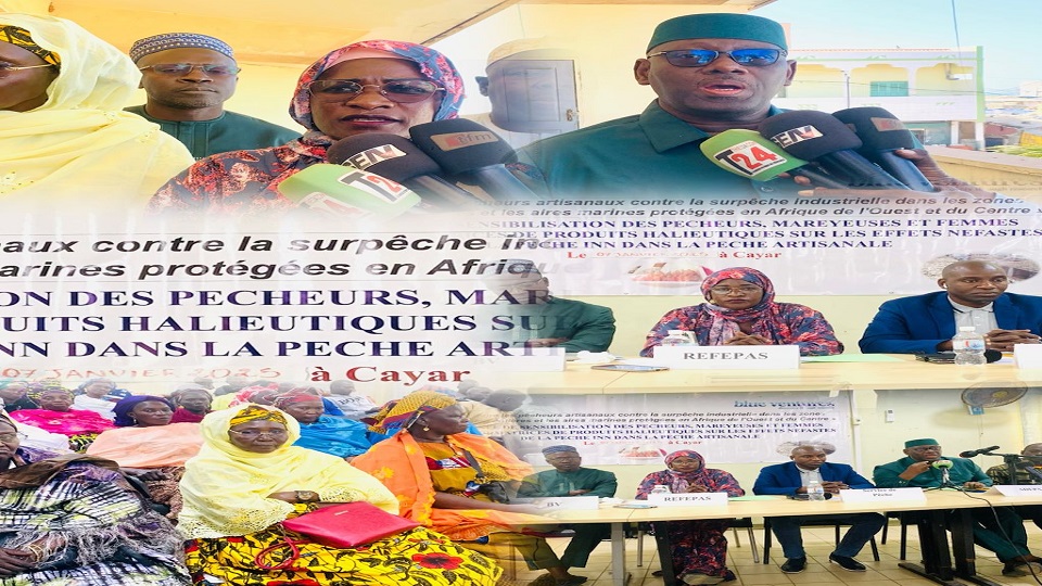 Vidéo/ Raréfaction des ressources halieutiques, la question épluchée à Cayar par les acteurs