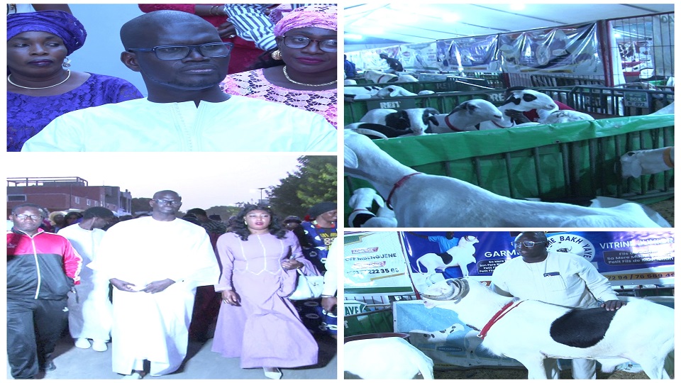 Vidéo/ Dr Yoro Diagne Directeur de l&rsquo;hôpital de Tivaouane, parrain de la foire des éleveurs de Mékhé