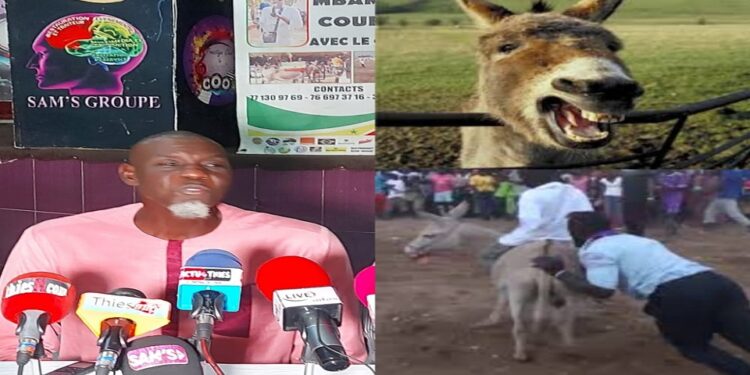 Vidéo/Course « Mbaam » 2025 à Thiès, l’initiateur Sanokho liste les innovations