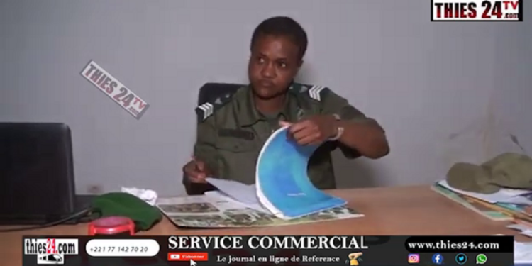 Vidéo/Célébration 8 mars, confidences Sergent Chef Penda Bâ des Eaux et Forêts