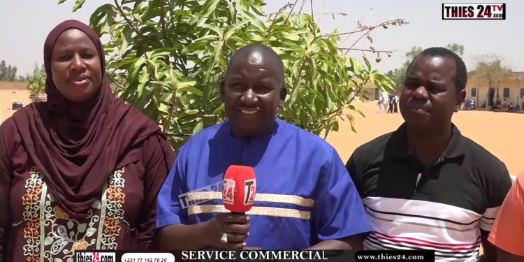Vidéo/Installation de clubs environnementaux et agro écologiques aux Lycées de Notto Diobass et Tassette