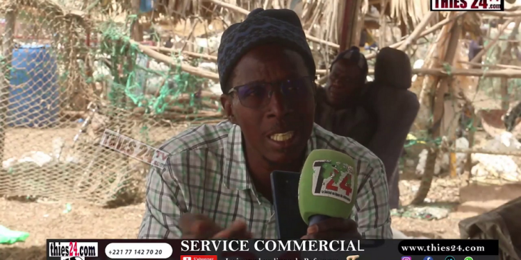 Vidéo/Un an de gouvernance du duo Diomaye-Sonko, des Thiessois se prononcent