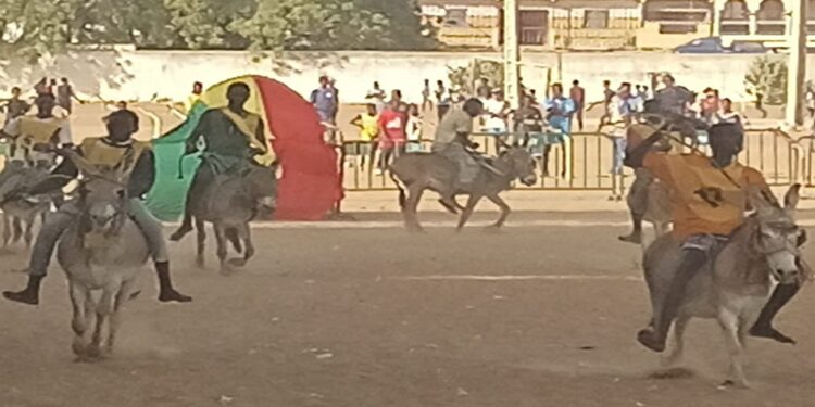 Vidéo/ Les ânes font tordre de rires le public, au champ de courses de Thiès