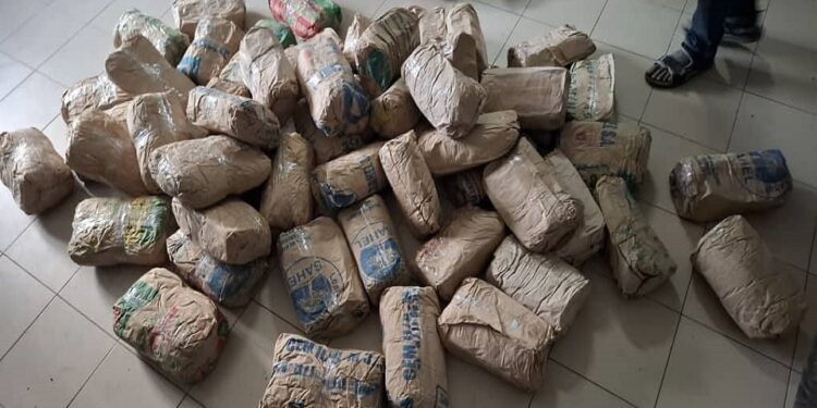 La Brigade Régionale des Stupéfiants (BRS) de Kaolack intercepte 58 kg de drogue