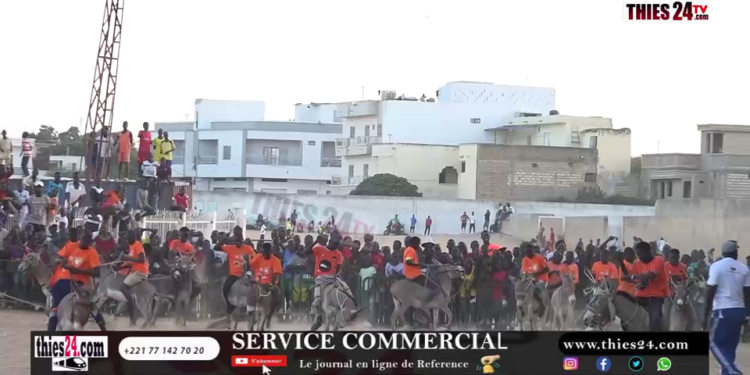 Vidéo/ Courses d’ânes à Thiès, regardez la troisième et la quatrième course