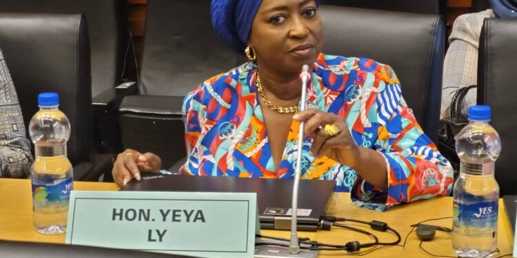 L’honorable Yeya Ly rejoint l’Union Africaine