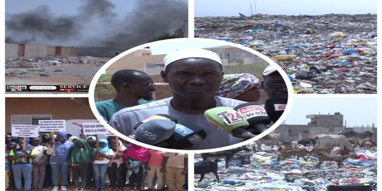 Vidéo/Insalubrité et fumée à l’école Keur Massamba Guèye 2, le drame d’une cohabitation avec une décharge