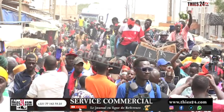 Vidéo/ Rogne contre la mévente, les producteurs des Niayes observent 48 heures de grève