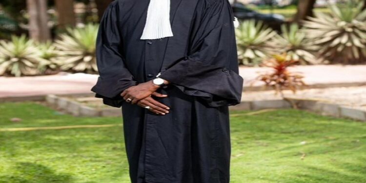 Dr Mbaye Sène promu à la tête du Conseil National de Développement de la Nutrition