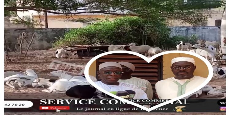 Vidéo/La Dahiratoul Muqtafina remet 104 moutons à Serigne Moustapha Sy Al Amine