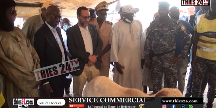 Vidéo/ Le Ministre Mabouba Diagne et son homologue de Mauritanie en visite au foirail de Séwékhaye