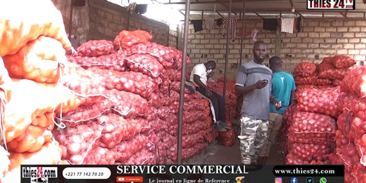Vidéo/Veille de tabaski, hausse du prix de l’oignon et de la pomme de terre à Thiès