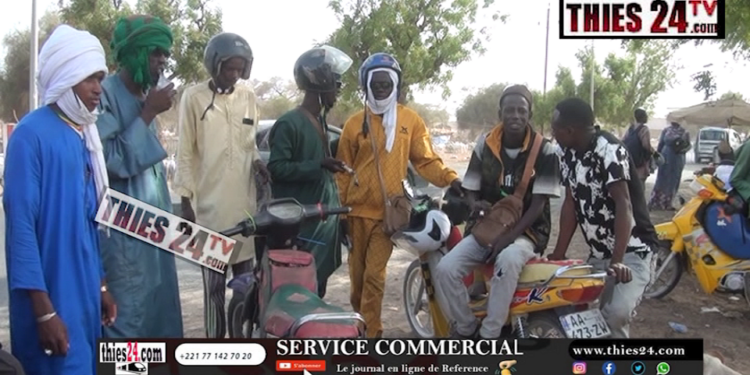 Vidéo/Séwékhaye, pas encore les bonnes affaires pour les conducteurs de Jakarta