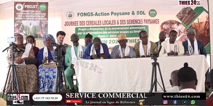 Vidéo/ Journée nationale de promotion des céréales locales et des semences paysannes à Thiès