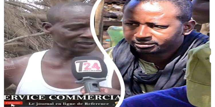 Vidéo/ Drame au foirail de Thiès, un arbre s’abat sur un vendeur de bétail et le tue atrocement