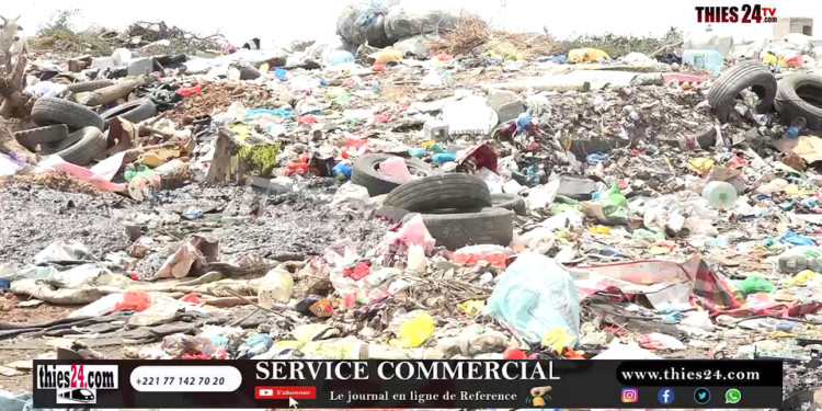Vidéo/Fermeture de Mbeubeuss Bis de Thiès (Mbour 4), la grosse colère des récupérateurs
