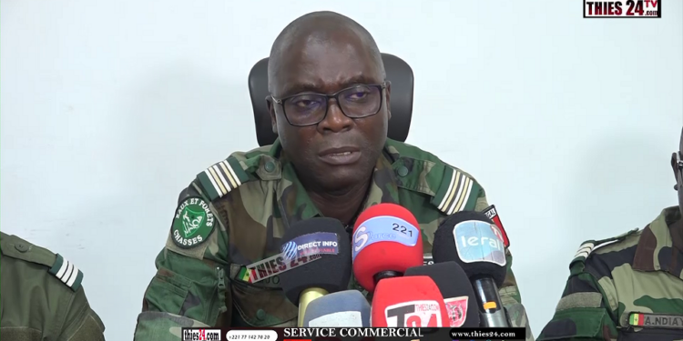 Vidéo/ Un championnat régional de reboisement à Thiès, avec toutes les ASC de la région