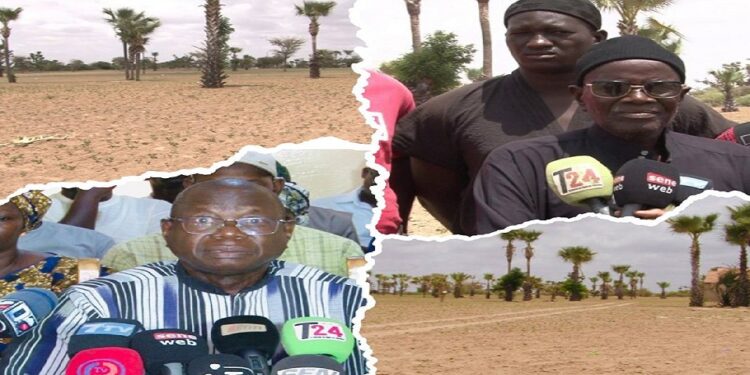 Vidéo/ Litige foncier à Lalane, la famille apporte la réplique, après la sortie du Maire Augustin Tine