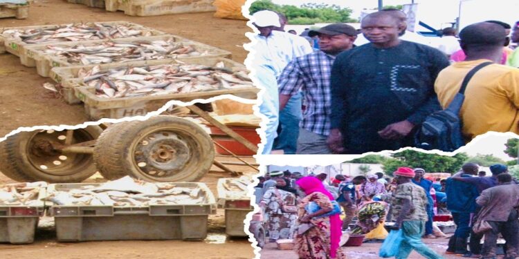 Vidéo/ Le Maire Babacar Diop rendu visite aux mareyeurs de Thiès à 5 heures du matin