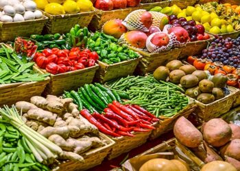 La souveraineté en légumes, bientôt une réalité dans les communes de Koul, Pékesse, Mérina Dakhar