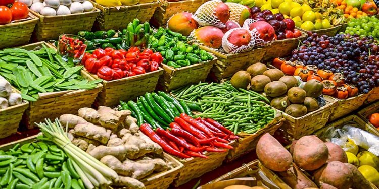 La souveraineté en légumes, bientôt une réalité dans les communes de Koul, Pékesse, Mérina Dakhar