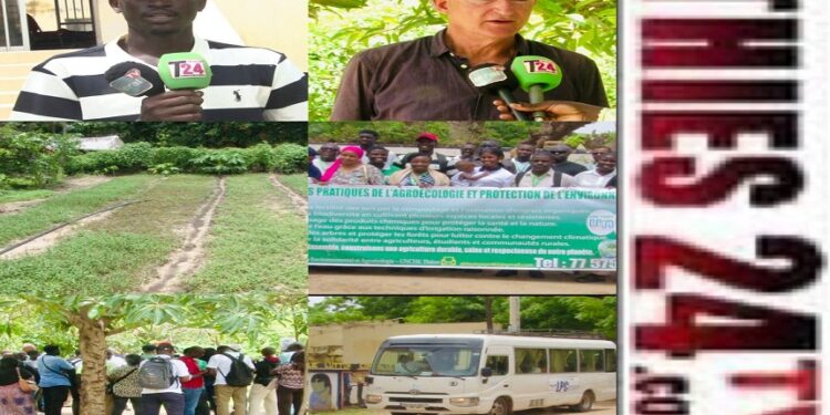 Vidéo/Forum mondial sur l’alimentation, visite du club agro écologique du Lycée Amary Ndack Thiès