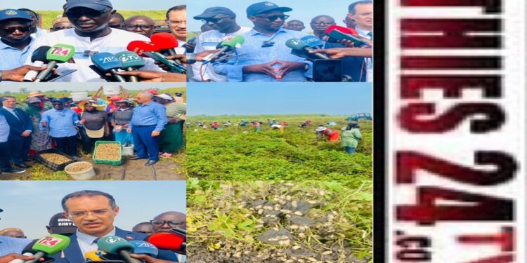 Vidéo/L&rsquo;ISRA et la ferme QVS en partenariat pour la reconstitution du capital semencier