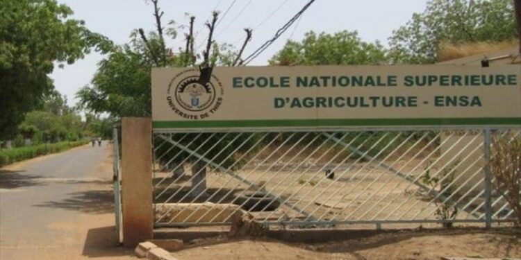 Crise à l&rsquo;ENSA, la section SAES décrète un troisième mot d&rsquo;ordre de grève de 72 heures