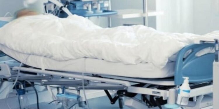 10 cas, 4 décès : Le ministère de la Santé fait le point sur la fièvre de la vallée du rift