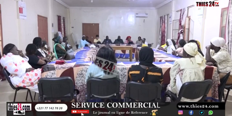 Vidéo/Renforcement capacités de jeunes et femmes de l’économie informelle (12 GIE)