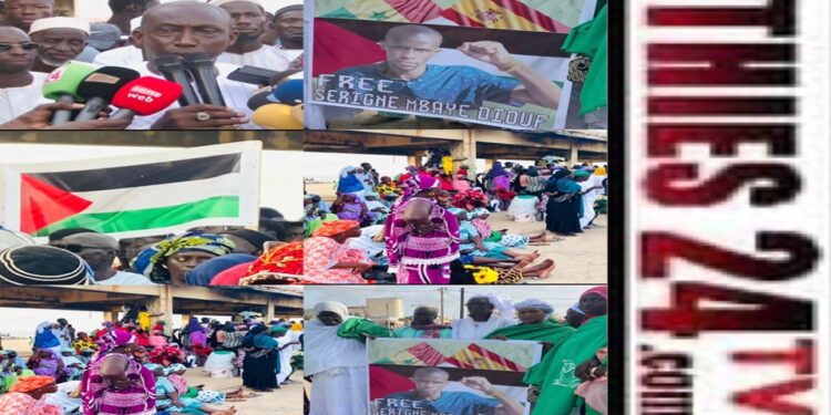 Vidéo/ Un fils de Cayar arrêté en Palestine par les israéliens, grosse colère des populations locales