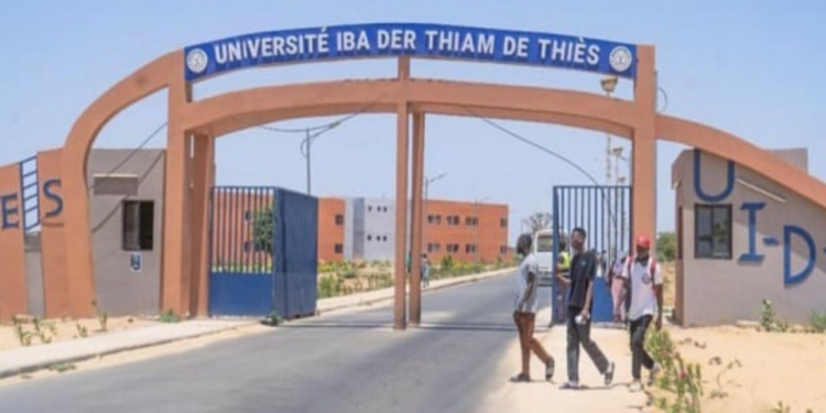 Octobre rose, l’amicale des femmes de l’UIDT et le GMI, ensemble pour dépister 800 femmes (cancers)
