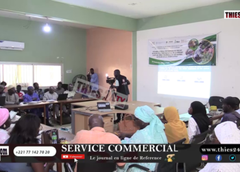 Vidéo/Décennie de l’agriculture familiale, les acteurs partagent à Thiès le plan d’action national