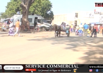 De l’éclaircie au marché Sahm et ses dérivés. Continuons pour longtemps encore, de respirer… (Par Cheikh Fall, journaliste).