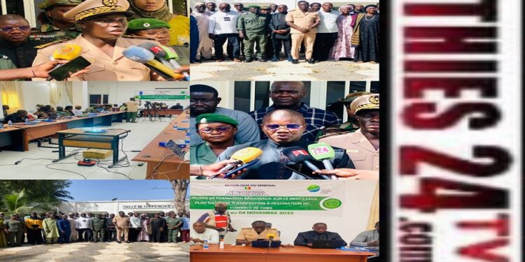 Vidéo/Plan national d’Adaptation au changement climatique, formation des membres du COMREEC de Thiès.