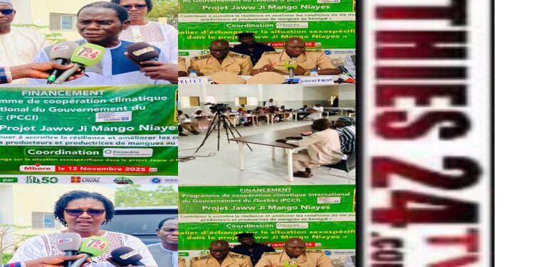 Vidéo/La production de mangues face au changement climatique (une rencontre des producteurs des Niayes à Mboro)