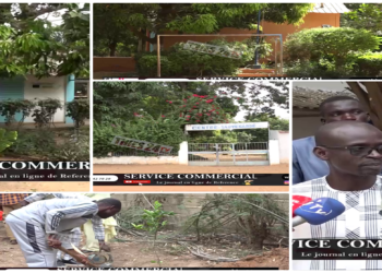 Vidéo/Projet de jardinage citoyen au Centre de Sauvegarde de Thiès