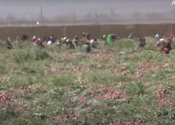 QVS-Nouvelle Ville : le PM prend position pour QVS et  relève des « irrégularités » dans le jugement rendu.