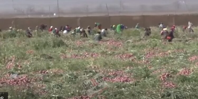 QVS-Nouvelle Ville : le PM prend position pour QVS et relève des « irrégularités » dans le jugement rendu.